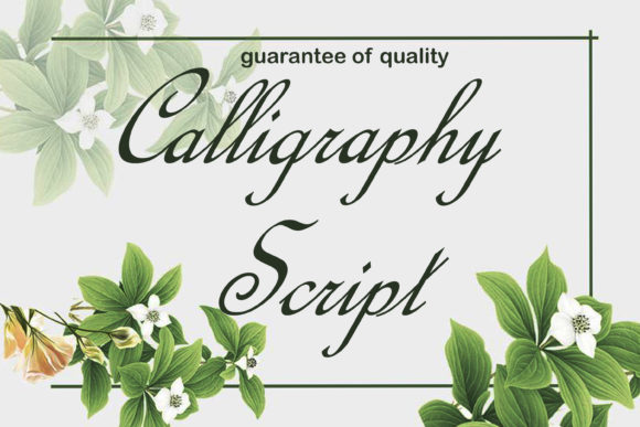 Download Calligraphy Script - Script Collection